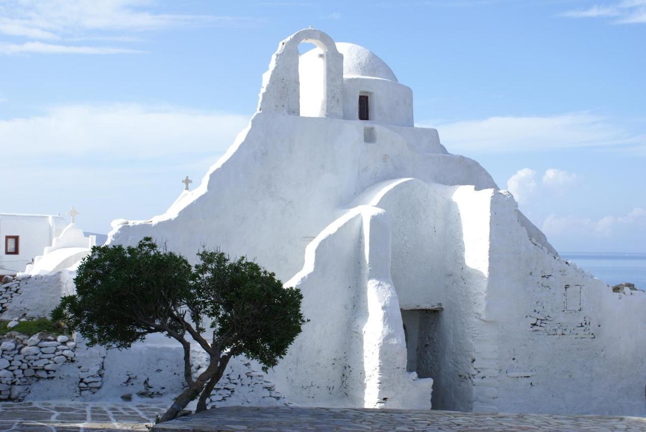 Dionysos Luxury Hotel Mykonos Ornos (Mykonos) Exterior foto
